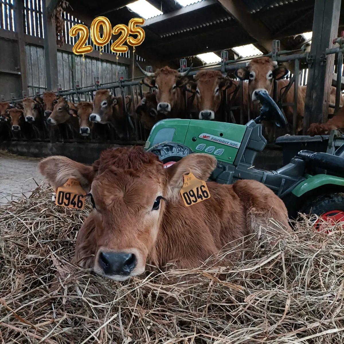 Bonne Ann&eacute;e 2025