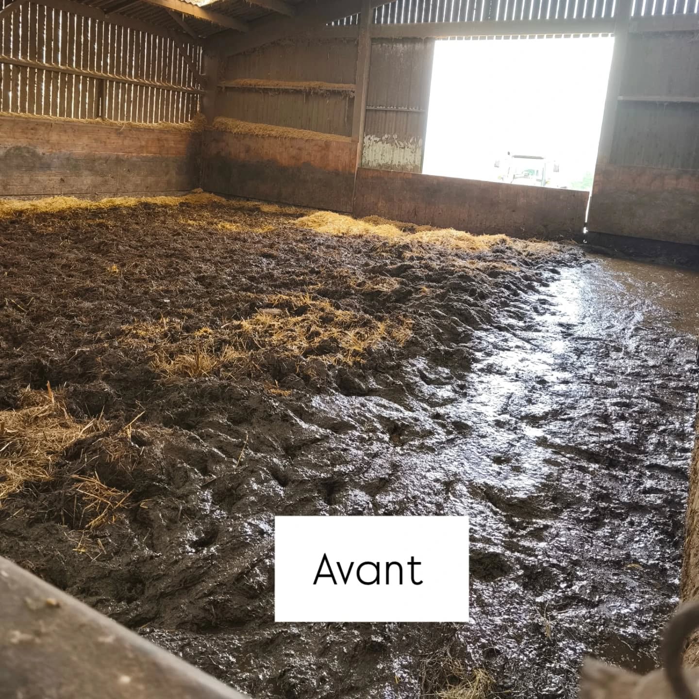 Nettoyage de la Stabulation