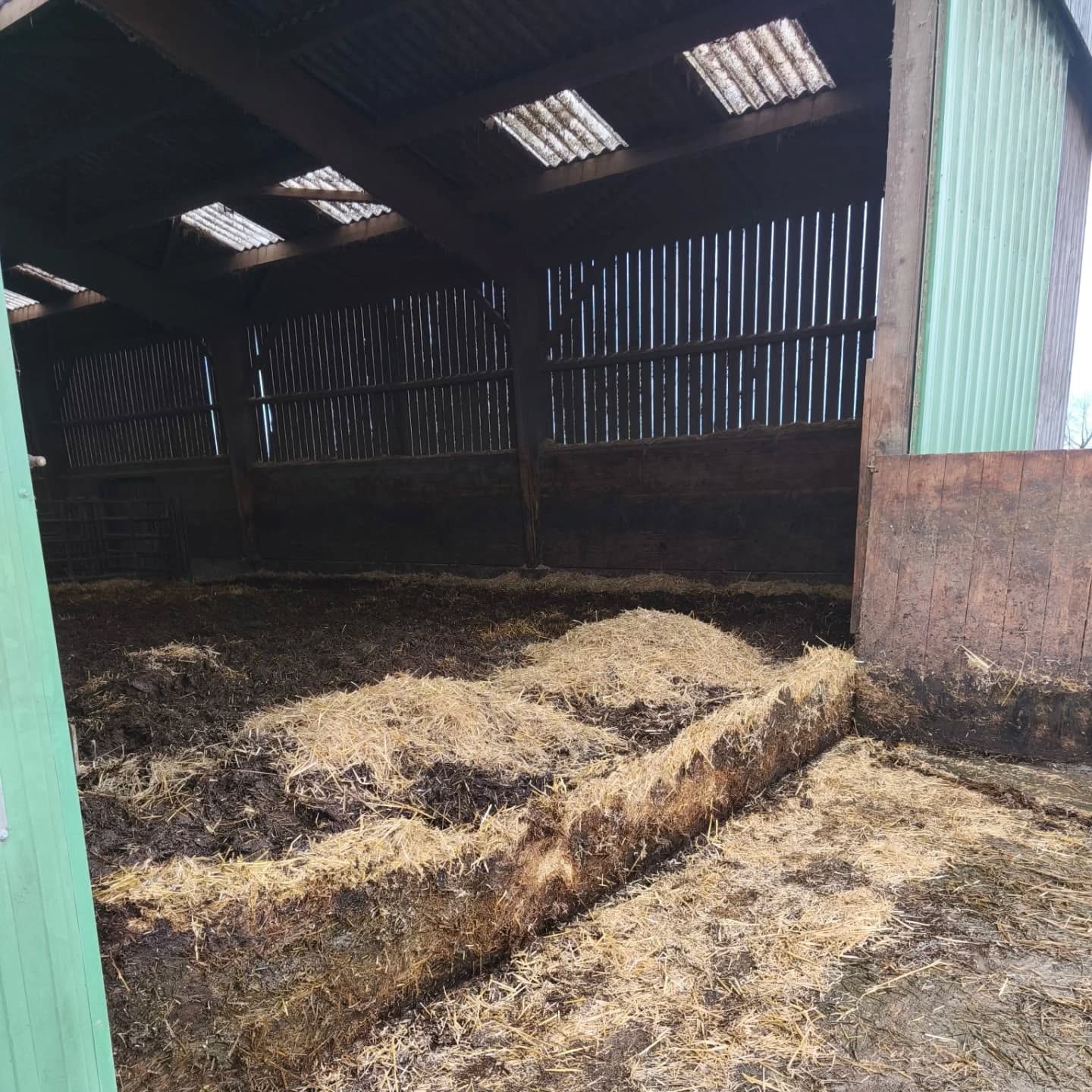 Nettoyage de la Stabulation