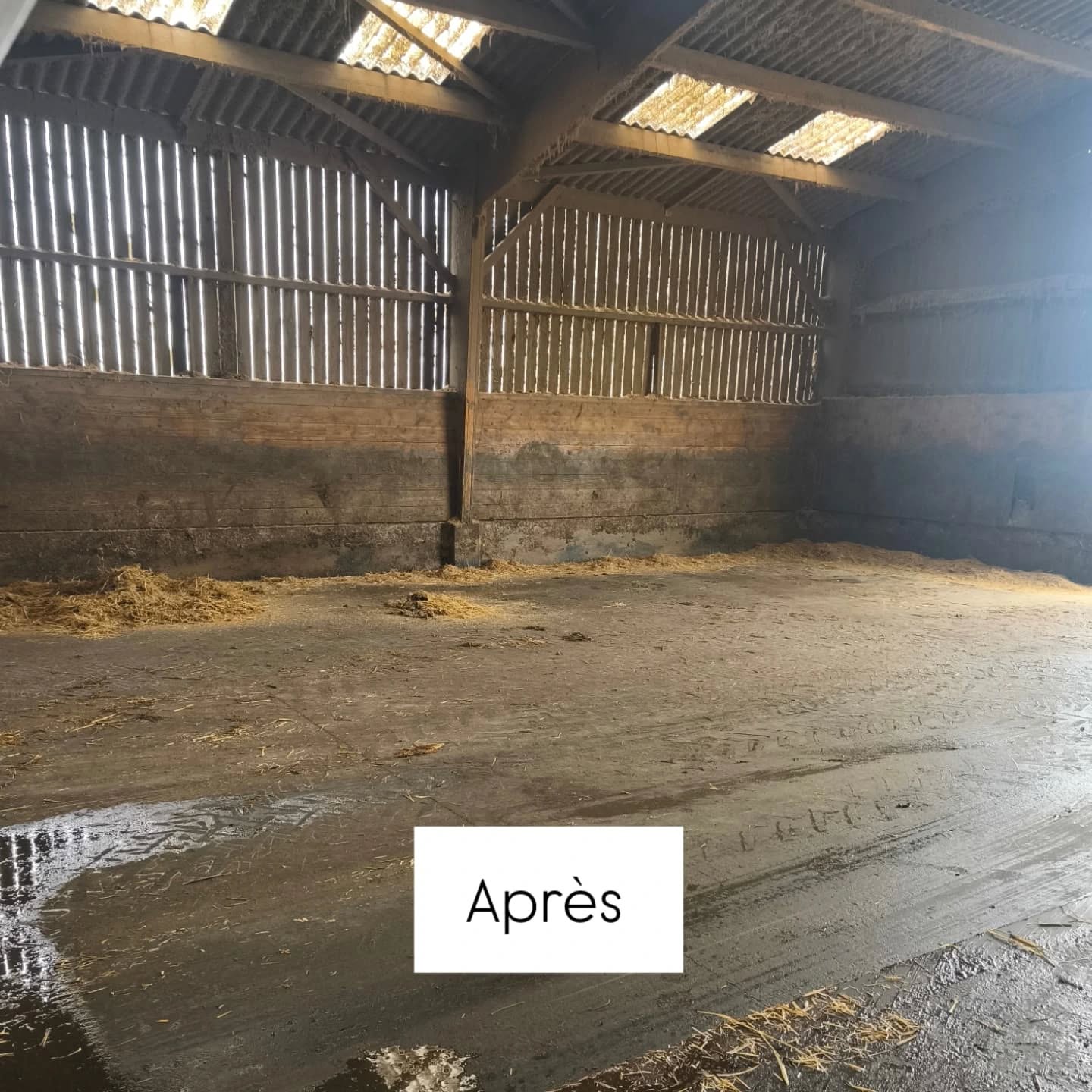 Nettoyage de la Stabulation