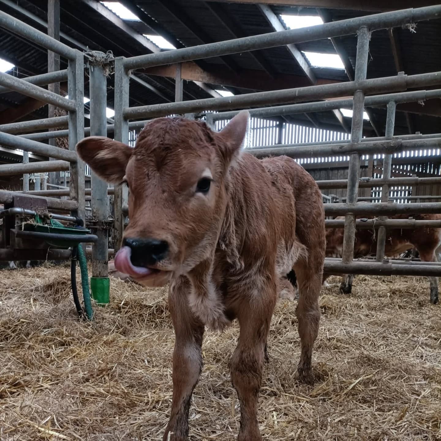 Nouvelle arriv&eacute;e !