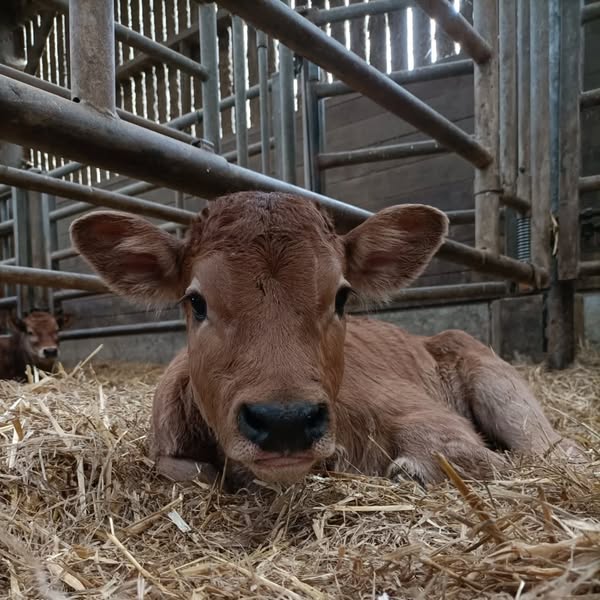 Nouvelle arriv&eacute;e !