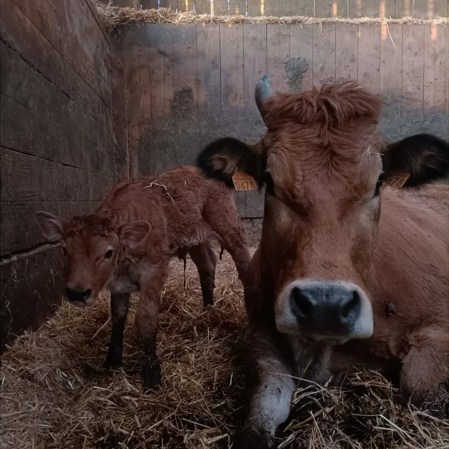 Nouvelle arriv&eacute;e !