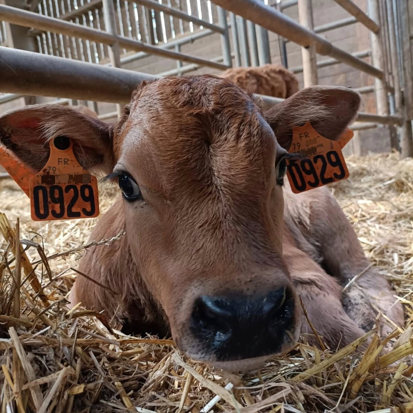 Une semaine charg&eacute;e en naissances !