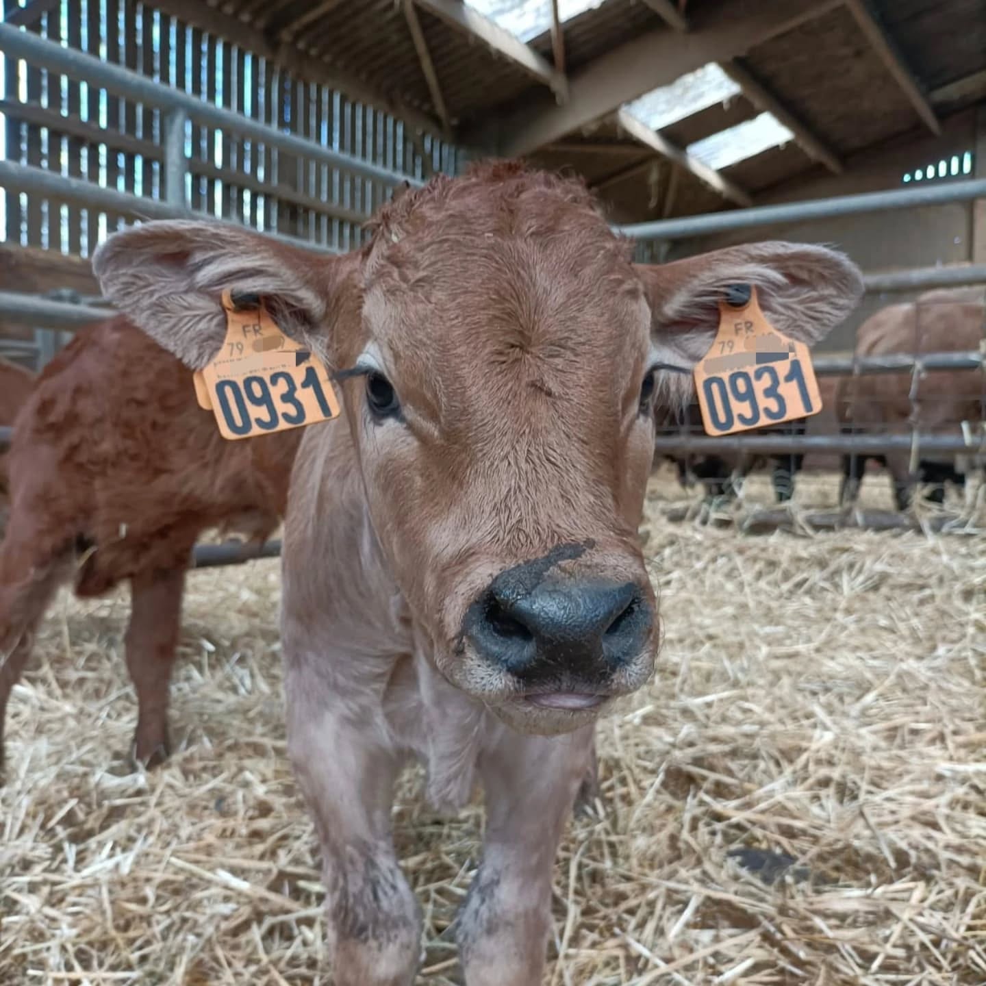 Une semaine charg&eacute;e en naissances !