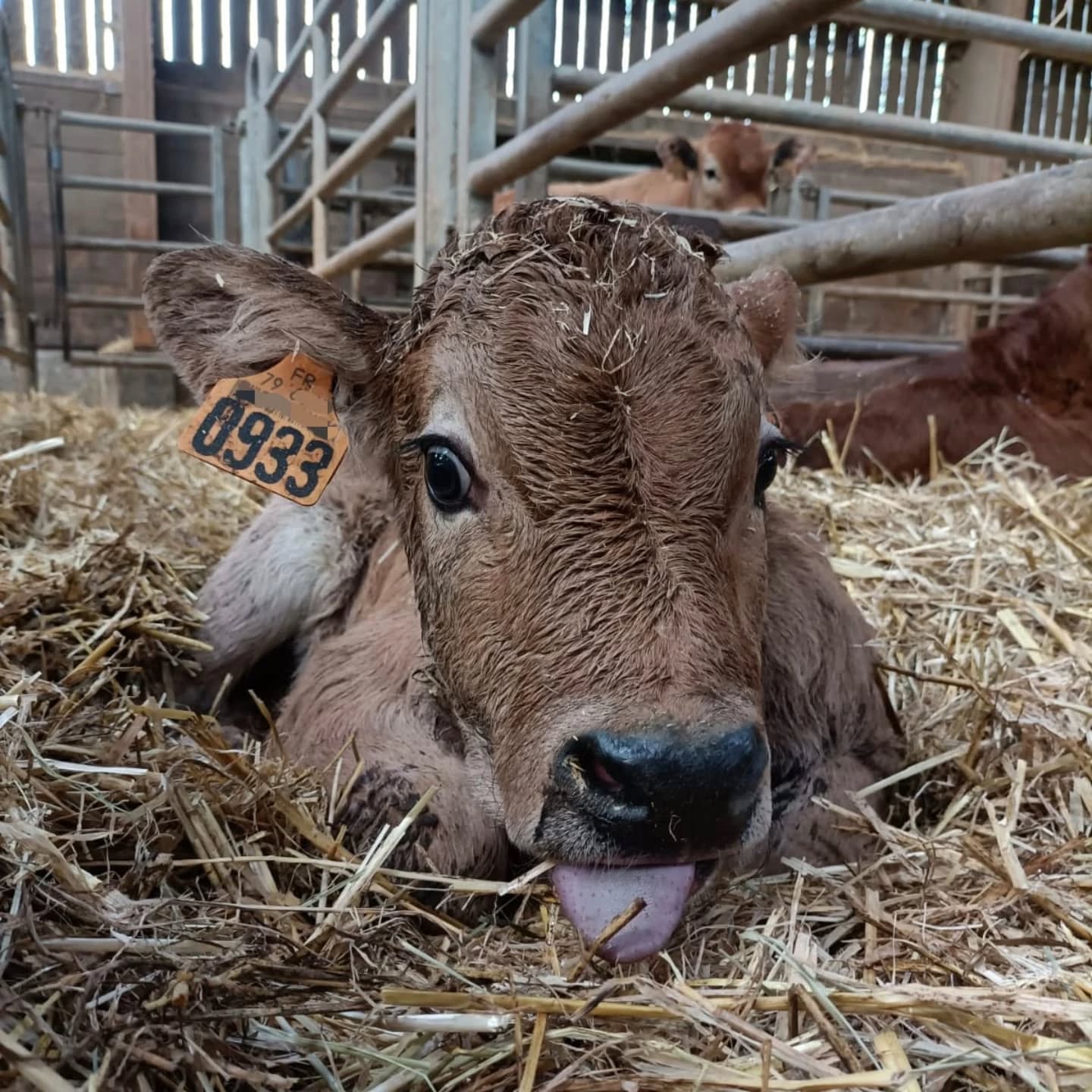 Une semaine charg&eacute;e en naissances !