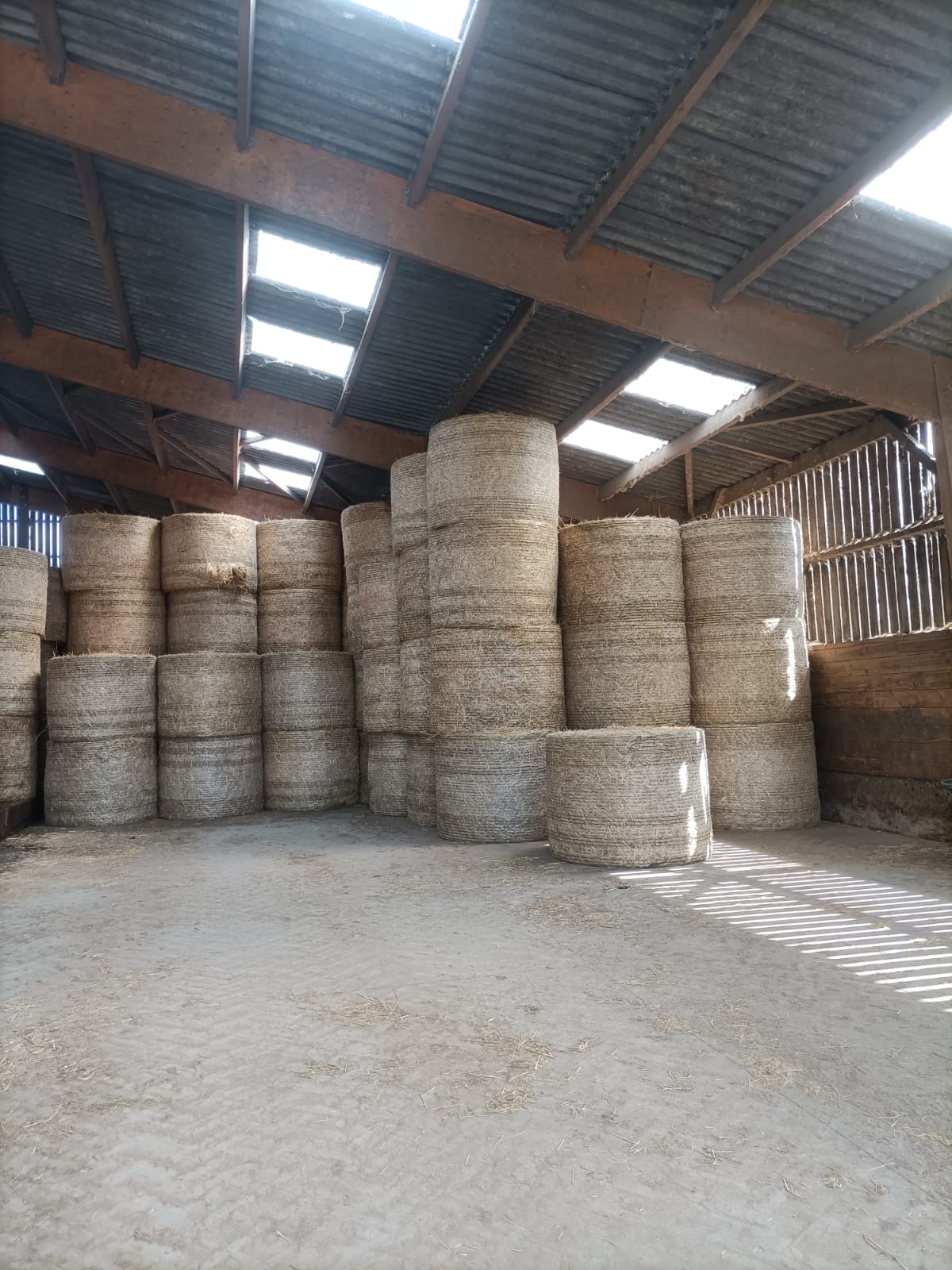 🌾 R&eacute;colte de bl&eacute; et d'orge 🌾