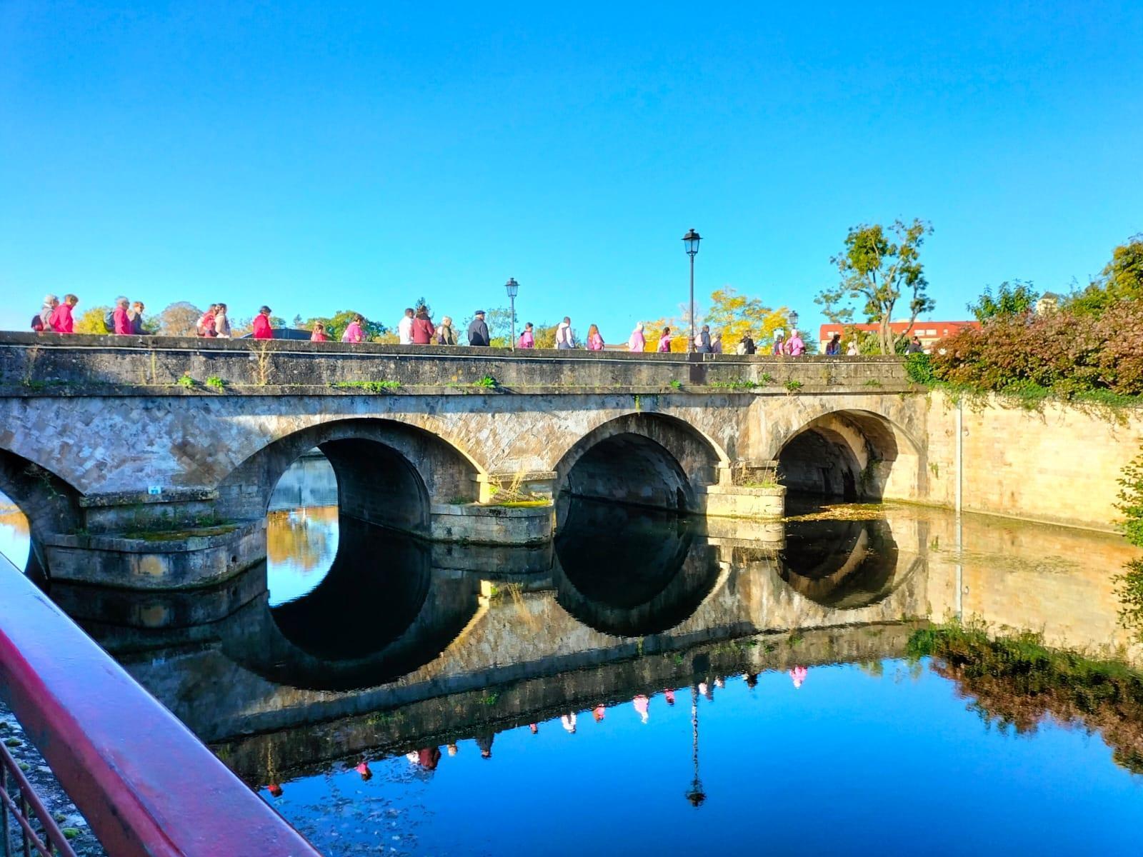 🩷 Octobre Rose 🩷