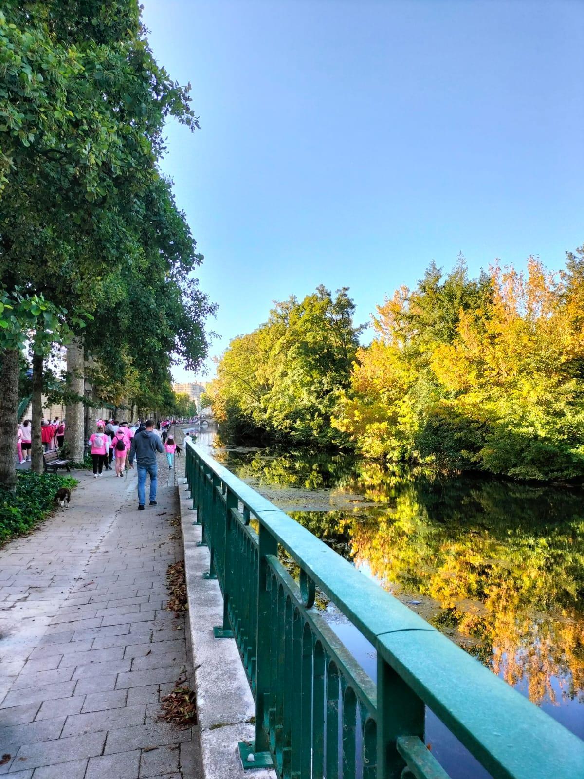 🩷 Octobre Rose 🩷