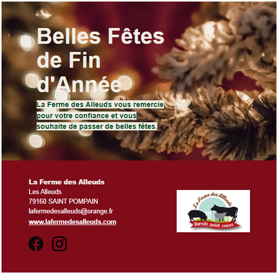 Belles fêtes de fin d'année
