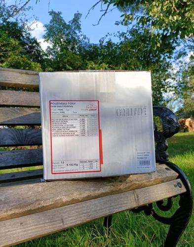 Colis de Cochon 5kg GRILLADES